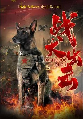 天才J之致命推理